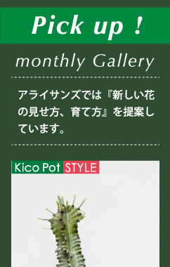 ピックアップ キコポットKico Pot